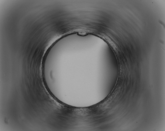 X0000091660902200709131507