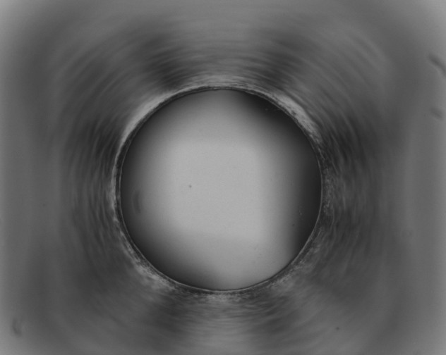 X0000091660904200709131507