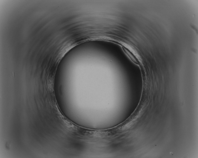 X0000091660905200709131507