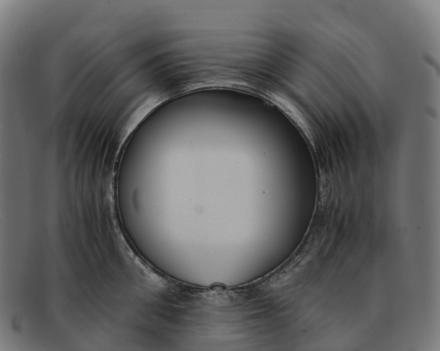 X0000091660906200709131507