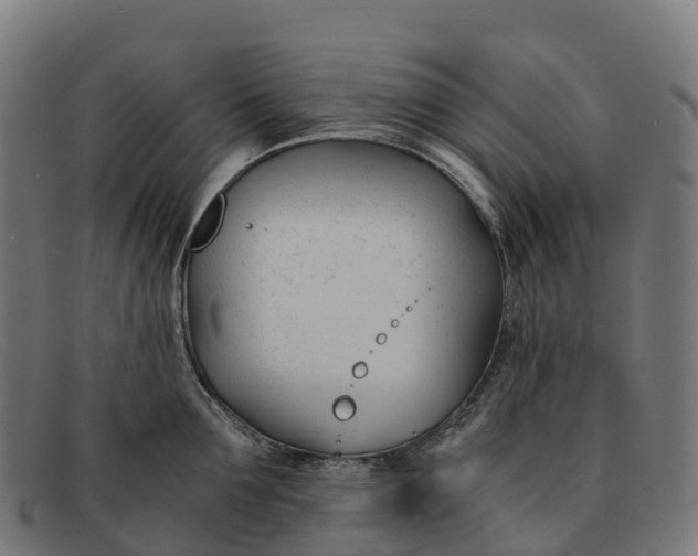 X0000091660907200709131507