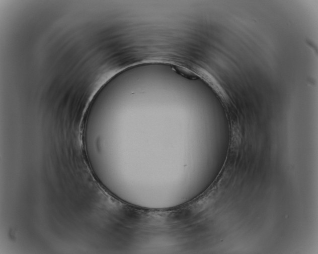 X0000091660908200709131507