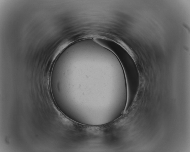 X0000091660909200709131507