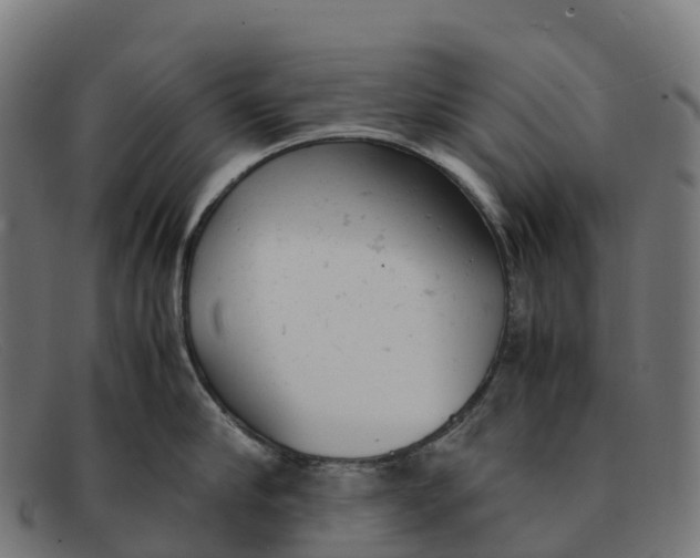 X0000091660910200709131507