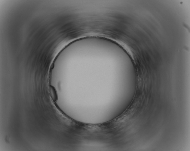 X0000091660911200709131507