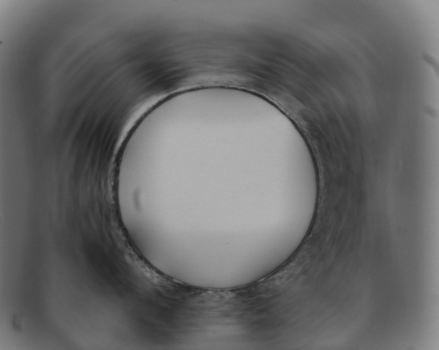 X0000091660912200709131507