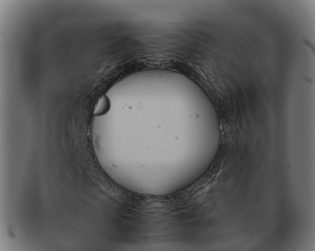 X0000091660913200709131507