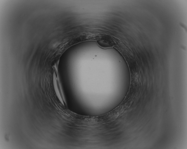 X0000091660914200709131507