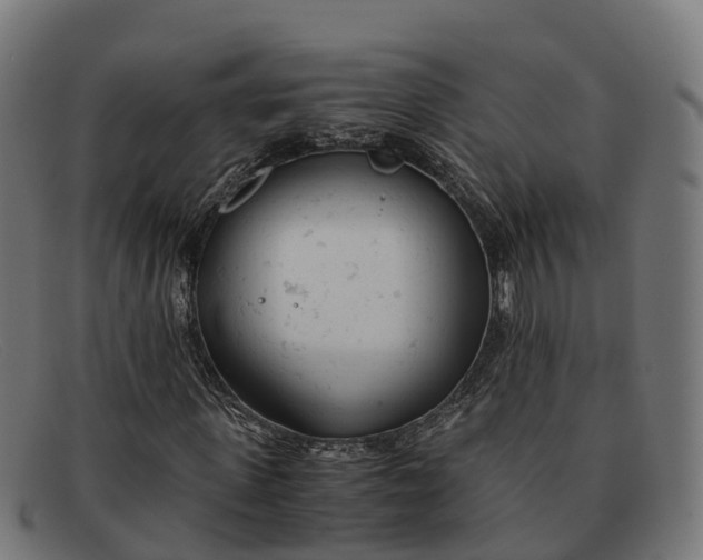 X0000091660915200709131507