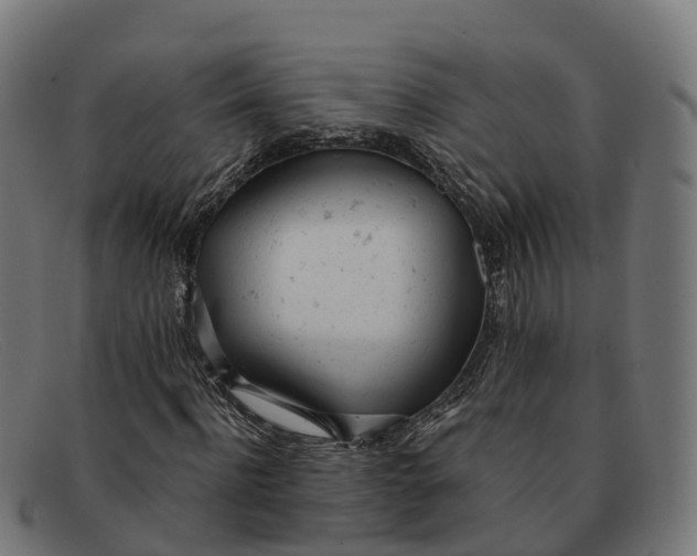 X0000091660916200709131507