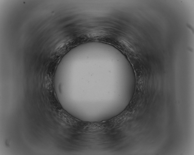 X0000091660917200709131507