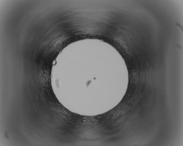 X0000091660918200709131507