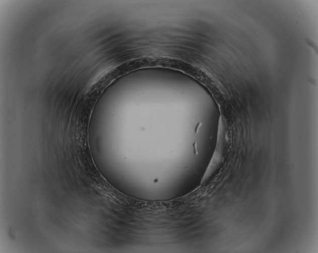 X0000091660919200709131507