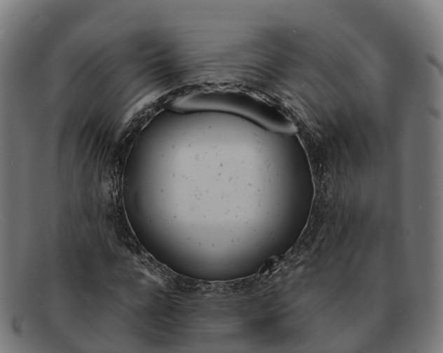 X0000091660920200709131507