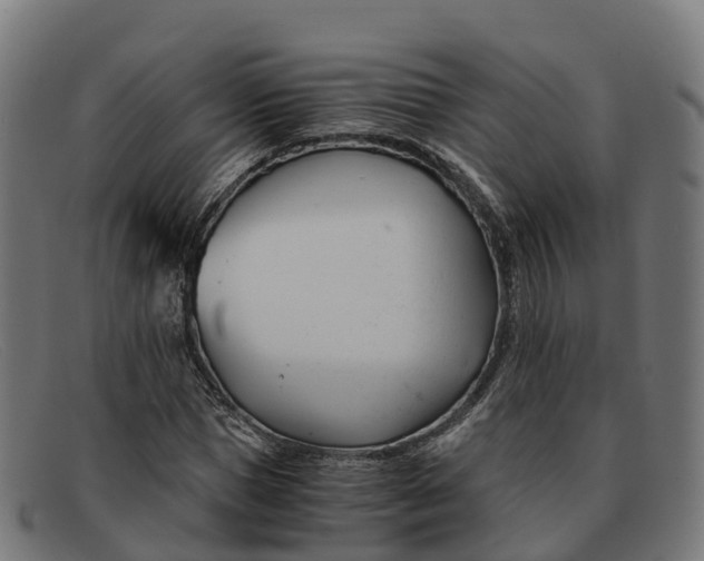 X0000091660921200709131507