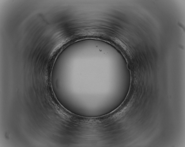 X0000091660922200709131507