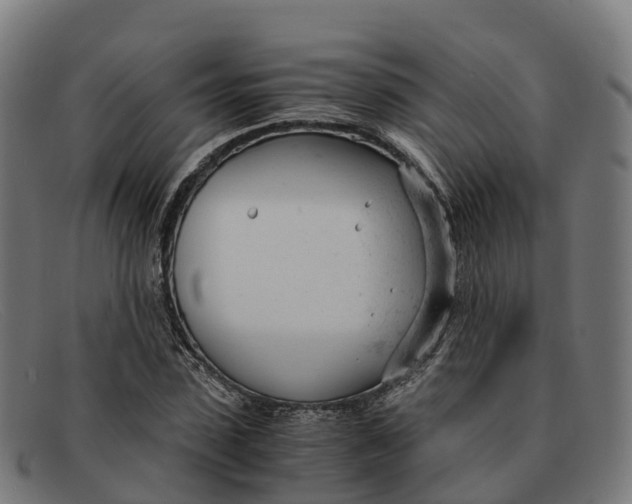 X0000091660923200709131507