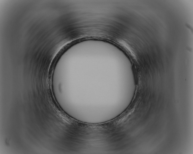 X0000091660924200709131507