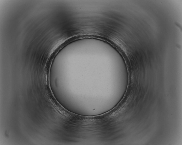 X0000091660925200709131507