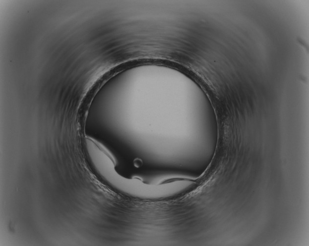 X0000091660926200709131507