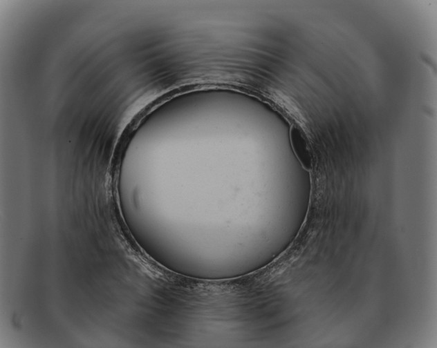 X0000091660928200709131507