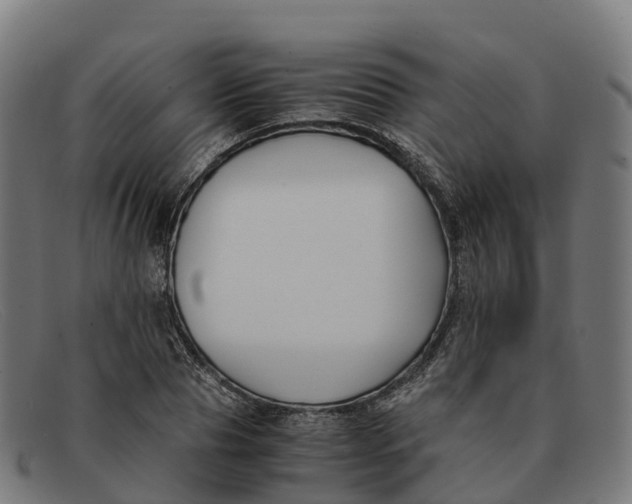 X0000091660929200709131507