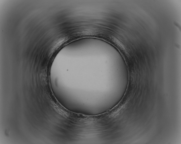 X0000091660930200709131507