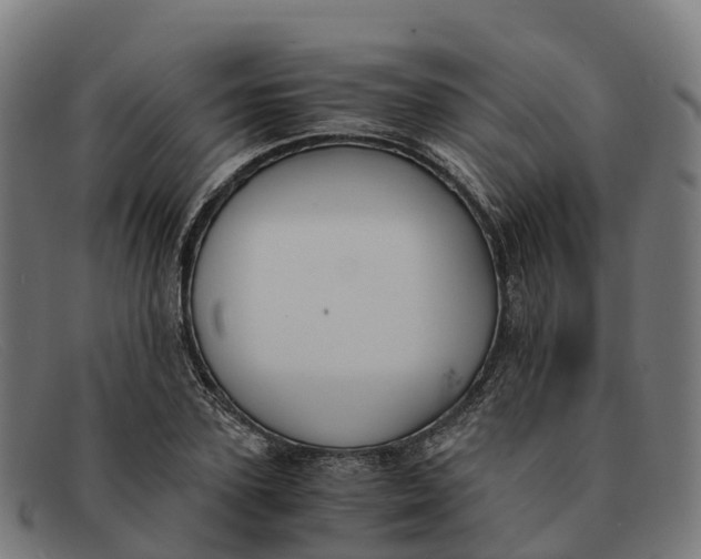 X0000091660931200709131507