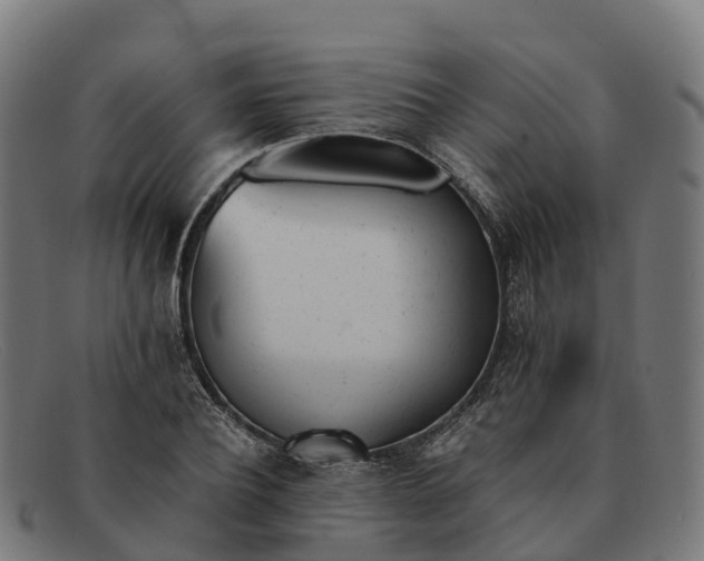 X0000091660932200709131507