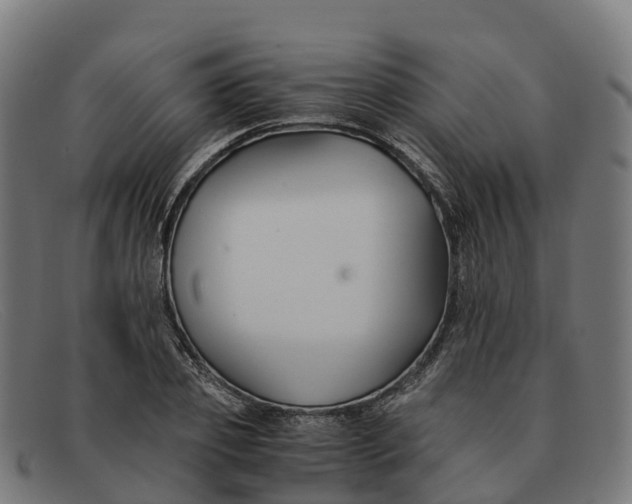 X0000091660933200709131507