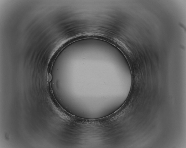 X0000091660934200709131507