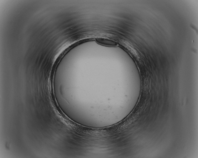 X0000091660936200709131507