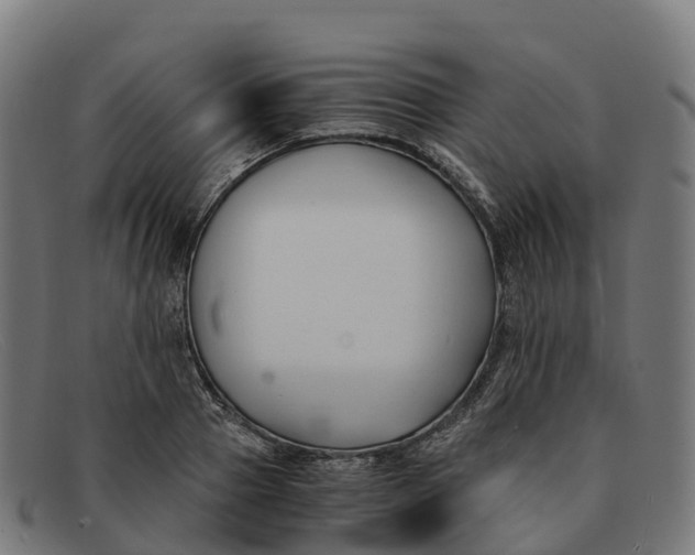 X0000091660937200709131507