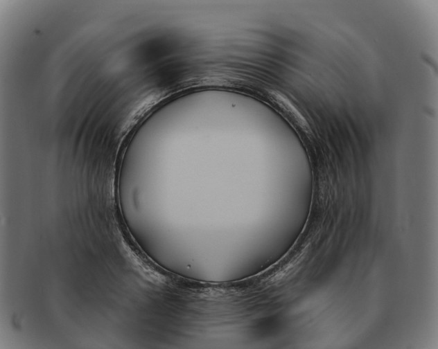 X0000091660938200709131507