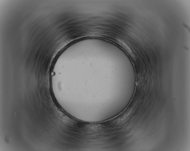 X0000091660939200709131507