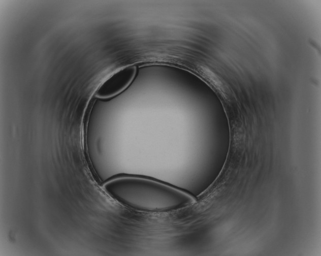 X0000091660940200709131507