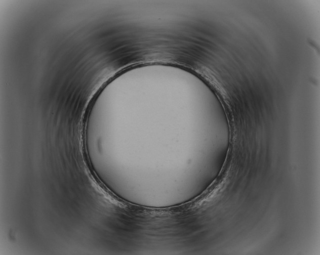 X0000091660941200709131507