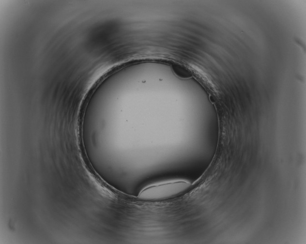 X0000091660942200709131507