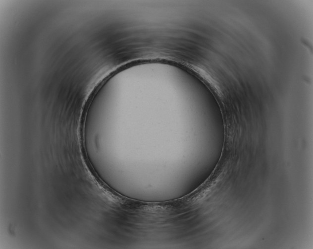 X0000091660943200709131507