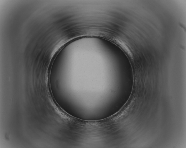 X0000091660944200709131507