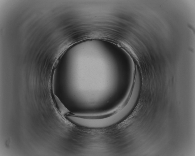 X0000091660946200709131507