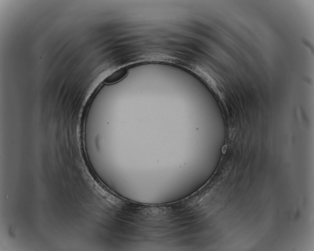 X0000091660947200709131507