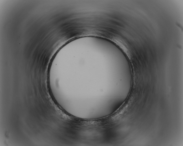 X0000091660949200709131507