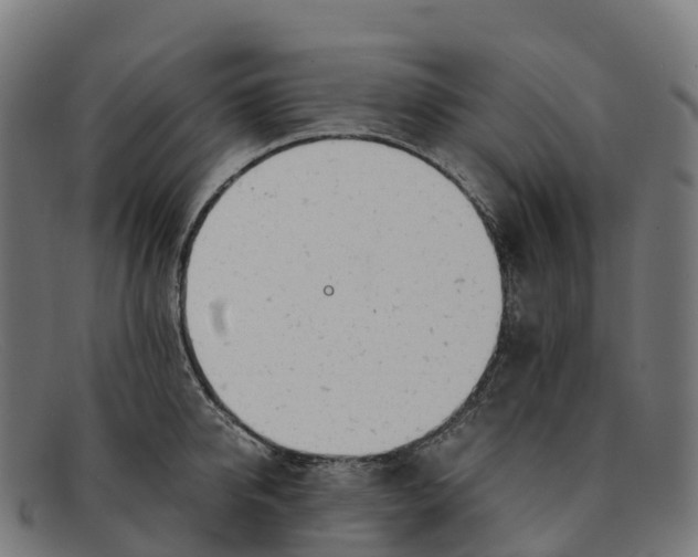 X0000091660950200709131507