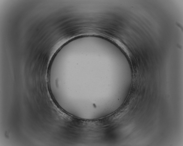 X0000091660951200709131507