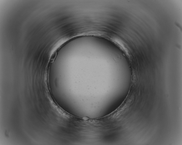 X0000091660952200709131507