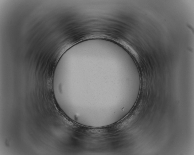 X0000091660953200709131507