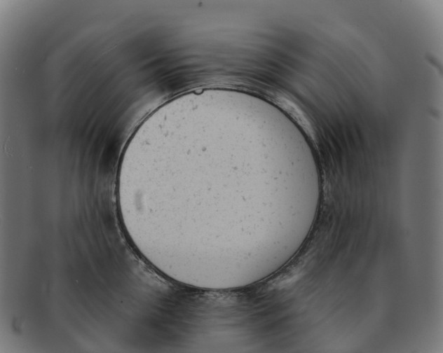 X0000091660954200709131507