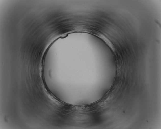 X0000091660955200709131507