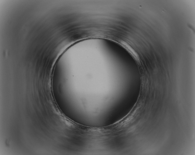 X0000091660956200709131507